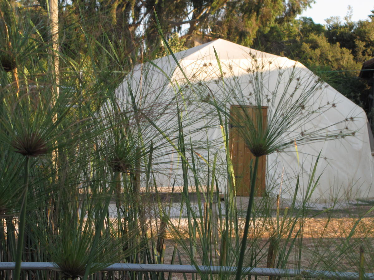 Yarok Az - Ecolodge Farm Ilaniya Habitación foto